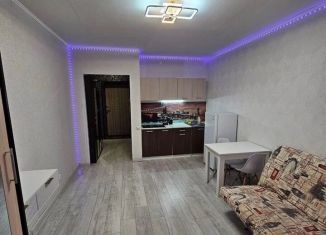 Сдается в аренду квартира студия, 27 м2, Северодвинск, улица Торцева, 14