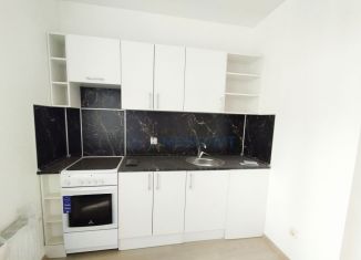 Продажа 2-ком. квартиры, 53.7 м2, деревня Анкудиновка, Русская улица, 7, ЖК КМ Анкудиновский Парк