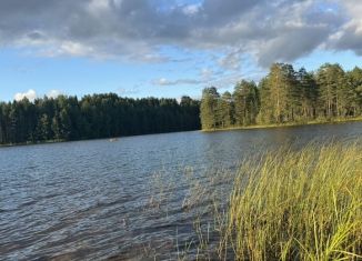 Продаю дачу, 46 м2, Карелия