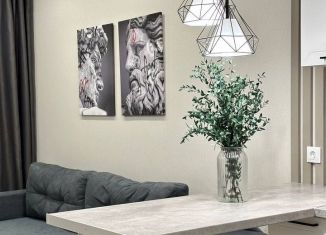 Сдается в аренду 2-комнатная квартира, 43 м2, Сочи, Ясногорская улица, 16/2к1