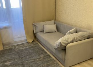 Квартира в аренду студия, 25 м2, Мурино, проспект Авиаторов Балтики, 3к1