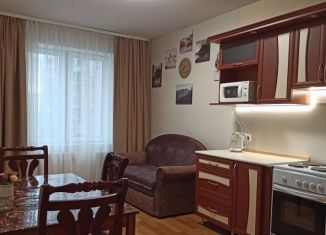 Сдам в аренду 1-ком. квартиру, 38.1 м2, посёлок Парголово, Заречная улица, 33