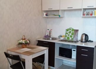 Сдаю в аренду квартиру студию, 20 м2, деревня Афонино, улица Красная Поляна, 3