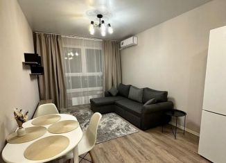 Сдаю в аренду 2-комнатную квартиру, 36 м2, Люберцы, улица Камова, 1к2, ЖК Люберцы 2020