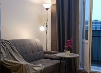 Сдаю квартиру студию, 26.2 м2, деревня Новое Девяткино, Школьная улица, 2