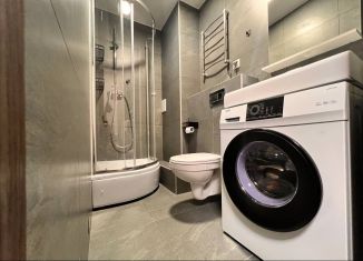 Продам квартиру студию, 24.1 м2, Санкт-Петербург, набережная реки Каменки, 13к1, муниципальный округ Коломяги