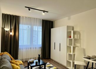 Сдаю квартиру студию, 21 м2, Санкт-Петербург, Пейзажная улица, 30, метро Девяткино