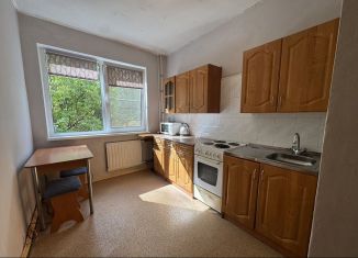 Сдам в аренду 2-ком. квартиру, 57 м2, Санкт-Петербург, проспект Энтузиастов, 40к1, метро Ладожская