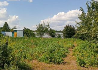 Дача на продажу, 50 м2, Брянск, СНТ Флора, 50