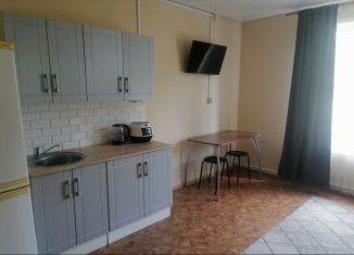 Сдается квартира студия, 26 м2, Тюмень, Первомайская улица, 62