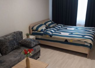 Сдача в аренду 1-комнатной квартиры, 39 м2, Пермь, Кировский район, Байкальская улица, 29