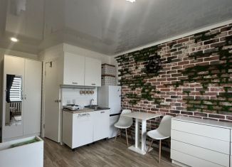 Квартира на продажу студия, 24.5 м2, Чебоксары, Эгерский бульвар, 22