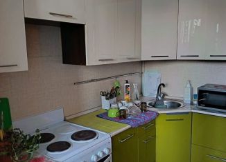 Сдаю в аренду 2-комнатную квартиру, 48 м2, Бийск, улица Георгия Прибыткова, 3/1