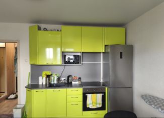 Продаю квартиру студию, 24.2 м2, Челябинск, улица Петра Столыпина, 15А, Центральный район