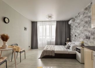 Квартира на продажу студия, 26.4 м2, Мурино, Екатерининская улица, 22к1, ЖК Форвард