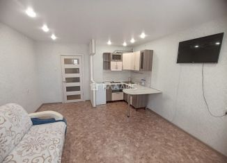 Квартира на продажу студия, 30 м2, Благовещенск, Зейская улица, 323