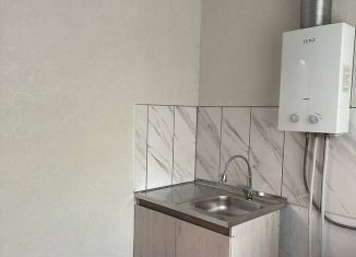 Продажа 2-комнатной квартиры, 43 м2, Дзержинск, проспект Циолковского, 19Б