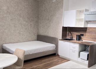 Сдаю в аренду 1-ком. квартиру, 30.7 м2, Республика Башкортостан, Революционная улица, 39/3