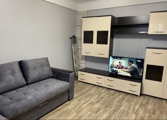 Сдаю в аренду 1-ком. квартиру, 37 м2, Пенза, Ладожская улица, 124