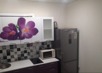 Двухкомнатная квартира в аренду, 55 м2, Ростов-на-Дону, Очаковская улица, 39