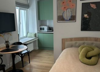 Сдам квартиру студию, 18 м2, Москва, 2-я Тверская-Ямская улица, 18, Тверской район