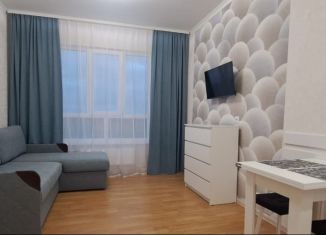 Сдается квартира студия, 21 м2, Тверь, улица Левитана, 93А