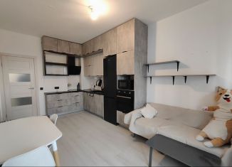 Сдам 1-ком. квартиру, 34.3 м2, Санкт-Петербург, улица Ивана Куликова, 4к2, Красносельский район