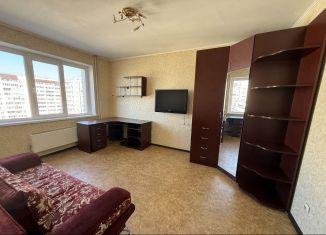 2-комнатная квартира на продажу, 46 м2, Саратов, 2-й проезд имени Ф.А. Блинова, 8, ЖК Ласточкино