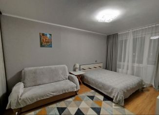 Аренда однокомнатной квартиры, 33 м2, Псков, улица Алексея Алёхина, 24