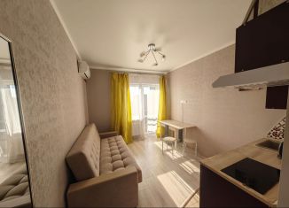 1-комнатная квартира в аренду, 21 м2, Ростов-на-Дону, Доломановский переулок, 128