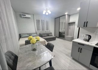 Сдача в аренду квартиры студии, 23 м2, Сочи, улица Гастелло, 43/2