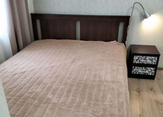 Сдается квартира студия, 27.3 м2, Мурино, Новая улица, 13к1