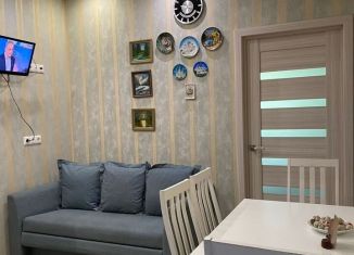 Сдача в аренду 1-ком. квартиры, 35 м2, Сочи, улица Есауленко, 6А