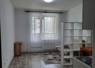 Квартира в аренду студия, 24.8 м2, Мурино, Воронцовский бульвар, 22, ЖК Гринландия-2