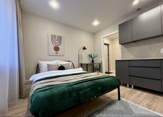 Продается квартира студия, 17 м2, Воронеж, улица Хользунова, 68