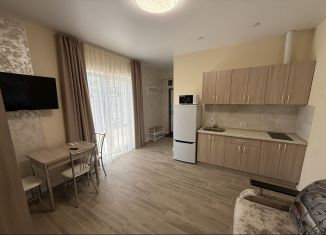 Квартира в аренду студия, 25 м2, Севастополь, улица Горпищенко, 109/39