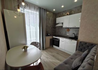 Продаю 1-комнатную квартиру, 32.4 м2, село Осиновая Гора, ЖК Времена Года, улица Аркадия Шипунова, 46