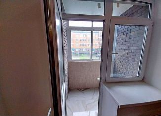 Продам квартиру студию, 13.8 м2, деревня Марьино, Жемчужная улица, 1к9