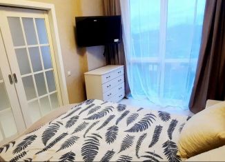 Сдаю 1-ком. квартиру, 50 м2, село Раздольное, Буковая улица, 10