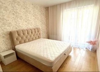 Сдаю 3-комнатную квартиру, 60 м2, Ростов-на-Дону, проспект Ленина, 105Г