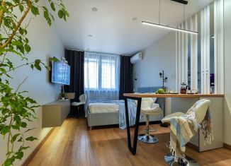 Сдается квартира студия, 25 м2, Сочи, Ясногорская улица, 16/2к1, микрорайон Бытха