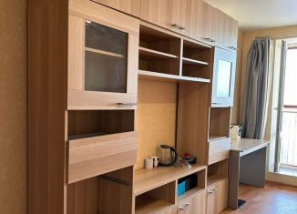 Сдача в аренду квартиры студии, 27 м2, Ленинградская область, Советский проспект, 138А