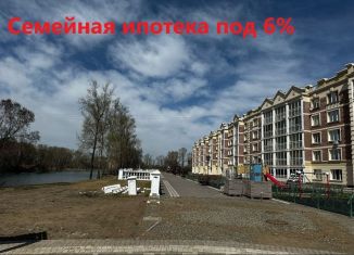 Продажа 3-ком. квартиры, 80.9 м2, Абакан, Серебристая улица, 38/2