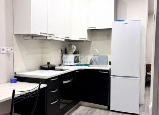 Сдача в аренду квартиры студии, 26 м2, Котельники, микрорайон Новые Котельники, 18