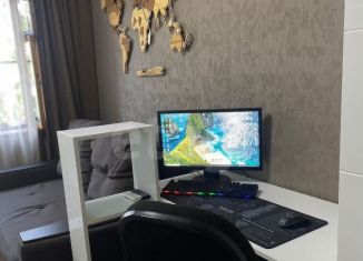 Продажа 1-комнатной квартиры, 12.5 м2, Ставрополь, улица Мира, 457