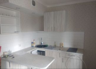 Продаю квартиру студию, 23.5 м2, село Дядьково, ЖК Шереметьевский Квартал, Зелёная улица, 19