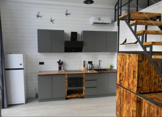 Сдача в аренду дома, 70 м2, посёлок городского типа Никита, Кедровая улица, 46