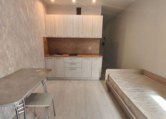 Сдача в аренду квартиры студии, 22 м2, село Засечное, Алая улица, 15, ЖК Радужные Дворы