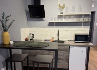 Сдам квартиру студию, 33 м2, Воронеж, ЖК Россия - Пять столиц, улица Загоровского, 1