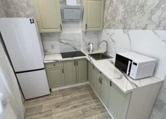 1-комнатная квартира в аренду, 30.5 м2, Казань, улица Назиба Жиганова, 2А